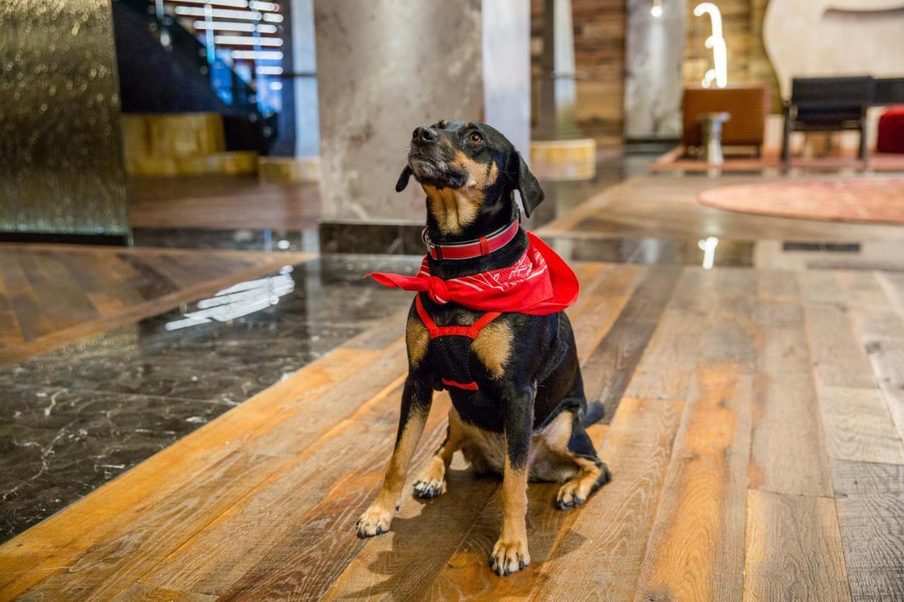 Bobby Hotel Nashville Buitenkant foto