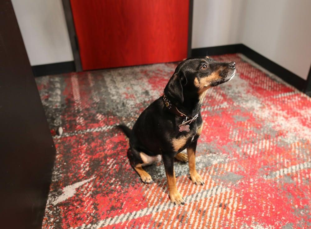 Bobby Hotel Nashville Buitenkant foto